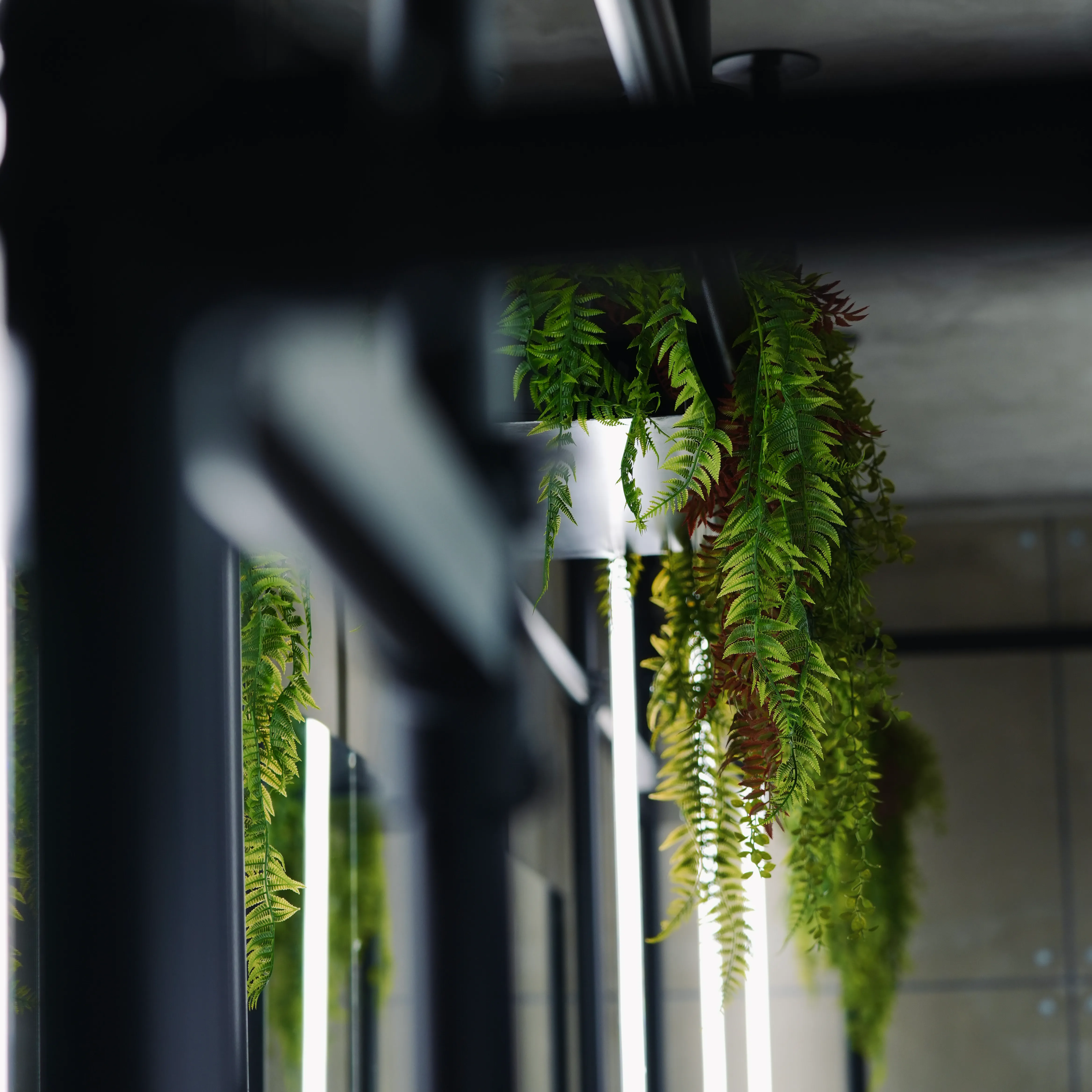 Dettaglio dello studio Deepfade